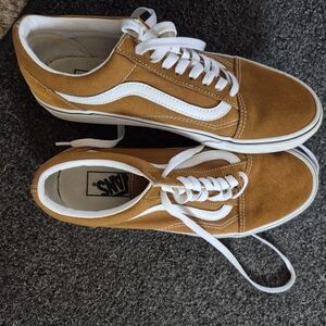 Vans Unisex Brown Suede Skate Shoes